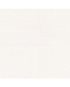 Shaw ALLURING DISPOSITION White Hot Carpet - SH-E9724-00170