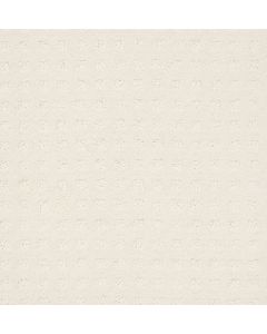 Shaw ALLURING DISPOSITION Crisp Linen Carpet - SH-E9724-00171