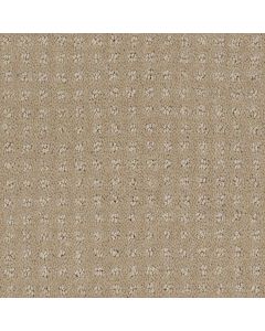 Shaw ALLURING DISPOSITION Safari Carpet - SH-E9724-00188