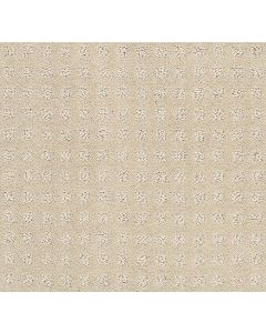 Shaw ALLURING DISPOSITION Barista Carpet - SH-E9724-00191