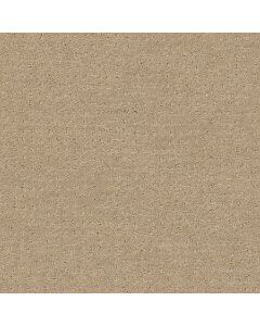 Shaw ALLURING DISPOSITION Espresso Carpet - SH-E9724-00192