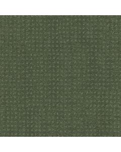 Shaw ALLURING DISPOSITION Lush Garden Carpet - SH-E9724-00391
