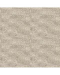 Shaw SMART THINKING Alabaster Carpet - SH-E9725-00172