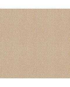 Shaw SMART THINKING Treasure Carpet - SH-E9725-00181