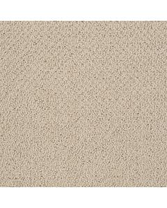 Shaw SMART THINKING Safari Carpet - SH-E9725-00188