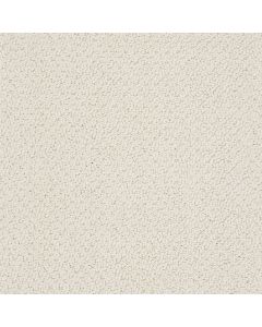 Shaw SMART THINKING Parchment Carpet - SH-E9725-00194