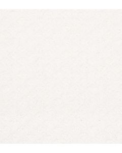Shaw ENTWINED WITH YOU White Hot Carpet - SH-E9808-00170