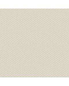 Shaw ENTWINED WITH YOU Crisp Linen Carpet - SH-E9808-00171