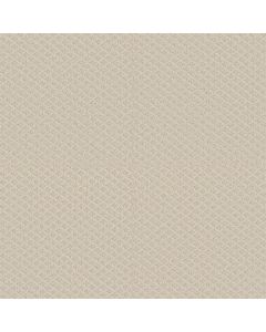Shaw ENTWINED WITH YOU Alabaster Carpet - SH-E9808-00172