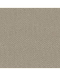 Shaw ENTWINED WITH YOU Studio Taupe Carpet - SH-E9808-00173