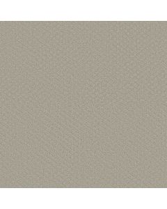 Shaw ENTWINED WITH YOU Quiet Moment Carpet - SH-E9808-00175