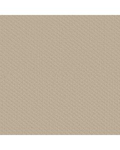 Shaw ENTWINED WITH YOU Sentimental Carpet - SH-E9808-00183