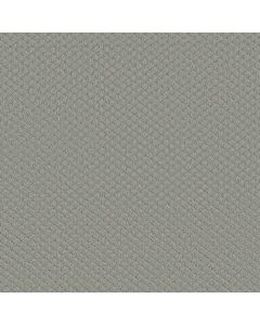 Shaw ENTWINED WITH YOU Offshore Mist Carpet - SH-E9808-00477