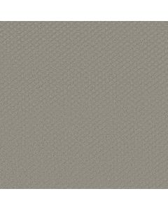 Shaw ENTWINED WITH YOU Silhouette Carpet - SH-E9808-00570