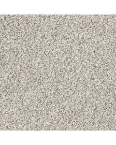 Shaw ALL SET II Quartz Carpet - SH-E9875-00100