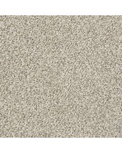 Shaw ALL SET II Goose Feather Carpet - SH-E9875-00101