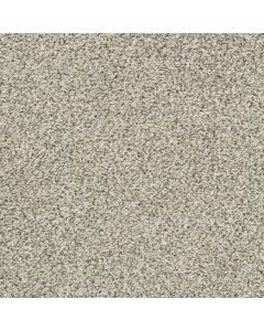 Shaw ALL SET II Atlantic Sand Carpet - SH-E9875-00102