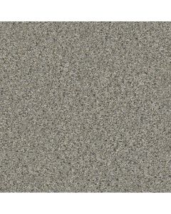 Shaw ALL SET II Rhino Carpet - SH-E9875-00501