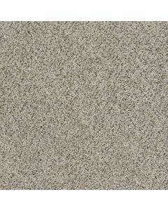Shaw ALL SET II Silversmith Carpet - SH-E9875-00700