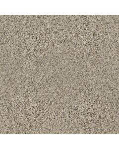 Shaw ALL SET II River Rock Carpet - SH-E9875-00701