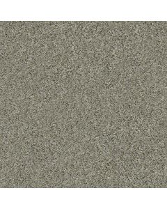 Shaw ALL SET II Beach Walk Carpet - SH-E9875-00702