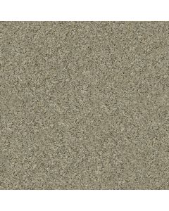 Shaw ALL SET II Tree House Carpet - SH-E9875-00703