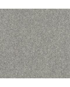 Shaw CABANA BAY SOLID Dolphin Carpet - SH-E9954-00521