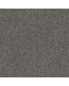 Shaw CABANA BAY SOLID Tree Bark Carpet - SH-E9954-00523