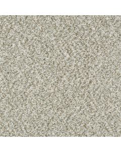 Shaw CABANA BAY (B) Winter Carpet - SH-E9956-00150