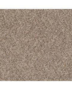 Shaw CABANA BAY (B) Mesa Carpet - SH-E9956-00152