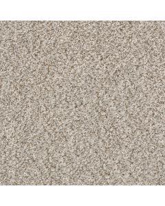 Shaw CABANA BAY (B) Beach House Carpet - SH-E9956-00250