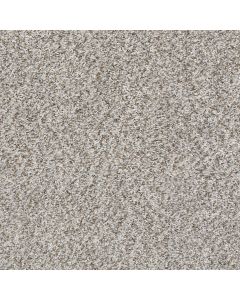Shaw CABANA BAY (B) Stone Carpet - SH-E9956-00550