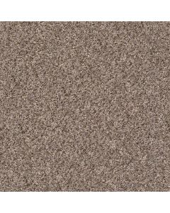 Shaw CABANA BAY (B) Brown Reed Carpet - SH-E9956-00751