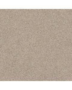 Shaw CABANA LIFE SOLID Shifting Sand Carpet - SH-E9957-00105