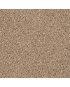 Shaw CABANA LIFE SOLID Camel Carpet - SH-E9957-00107