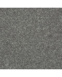 Shaw CABANA LIFE SOLID Steel Carpet - SH-E9957-00501