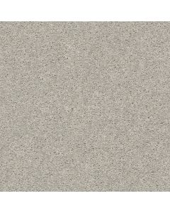 Shaw CABANA LIFE SOLID Weathered Carpet - SH-E9957-00522