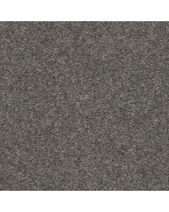 Shaw CABANA LIFE SOLID Tree Bark Carpet - SH-E9957-00523