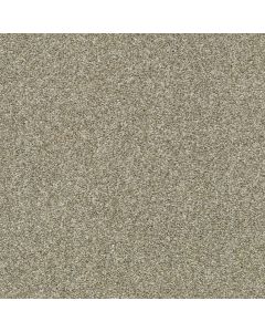 Shaw CABANA LIFE (T) Pebble Creek Carpet - SH-E9958-00135