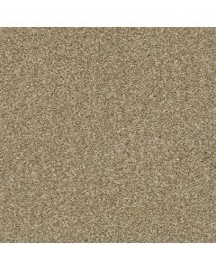 Shaw CABANA LIFE (T) Dried Clay Carpet - SH-E9958-00137