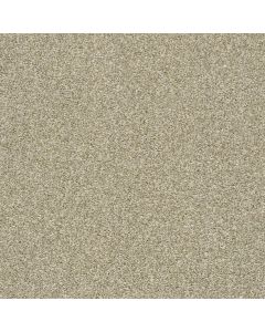 Shaw CABANA LIFE (T) Wheat Field Carpet - SH-E9958-00142