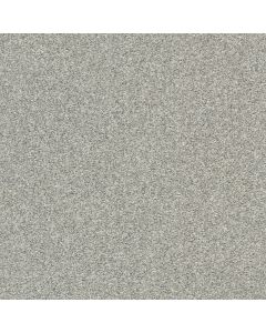 Shaw CABANA LIFE (T) Fog Carpet - SH-E9958-00540