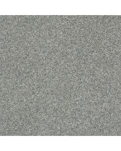 Shaw CABANA LIFE (T) Stainless Carpet - SH-E9958-00542