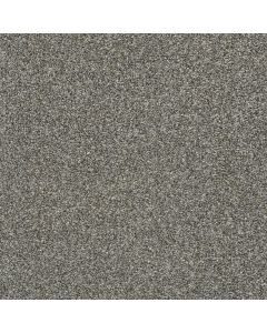 Shaw CABANA LIFE (T) Walking Trail Carpet - SH-E9958-00745