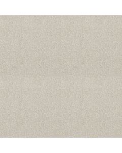 Shaw ATTAINABLE Blizzard Carpet - SH-E9965-100S