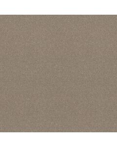 Shaw ATTAINABLE Pebble Path Carpet - SH-E9965-101S