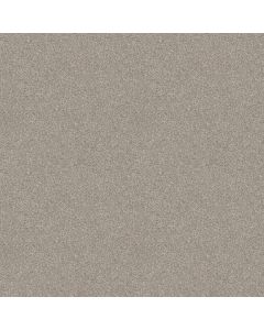 Shaw ATTAINABLE Desert Light Carpet - SH-E9965-121T