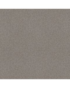 Shaw ATTAINABLE Clay Carpet - SH-E9965-122T