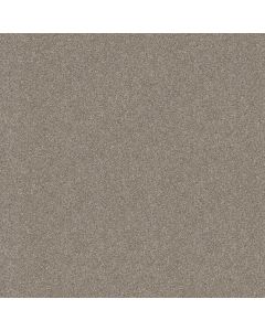 Shaw ATTAINABLE Winter Dunes Carpet - SH-E9965-123T