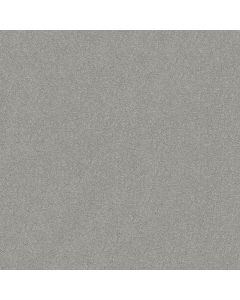Shaw ATTAINABLE Platinum Carpet - SH-E9965-500S